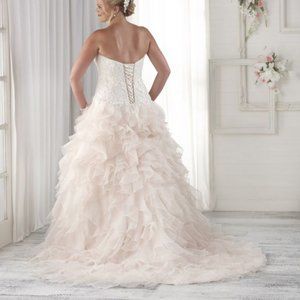 Fun Plus size wedding dress